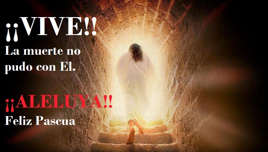 Homilía Vigilia Pascual y Domingo de Resurrección - En