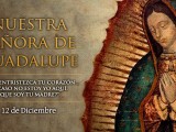 SEMANA ESPECIAL DEDICADA A NUESTRA SEÑORA DE GUADALUPE (III)