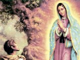 SEMANA ESPECIAL DEDICADA A NUESTRA SEÑORA DE GUADALUPE (I)